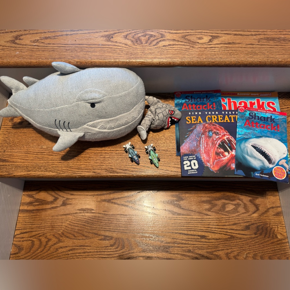Shark throw pillow, books, hot wheels & plush toy with magnetic arms